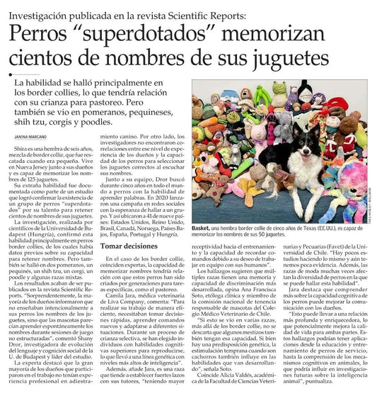Perros "superdotados" memorizan cientos de nombres de sus juguetes