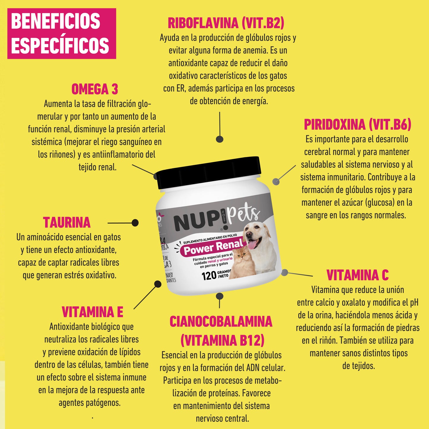 NUP!PETS POWER RENAL CUIDADO RENAL Y URINARIO PARA PERROS Y GATOS
