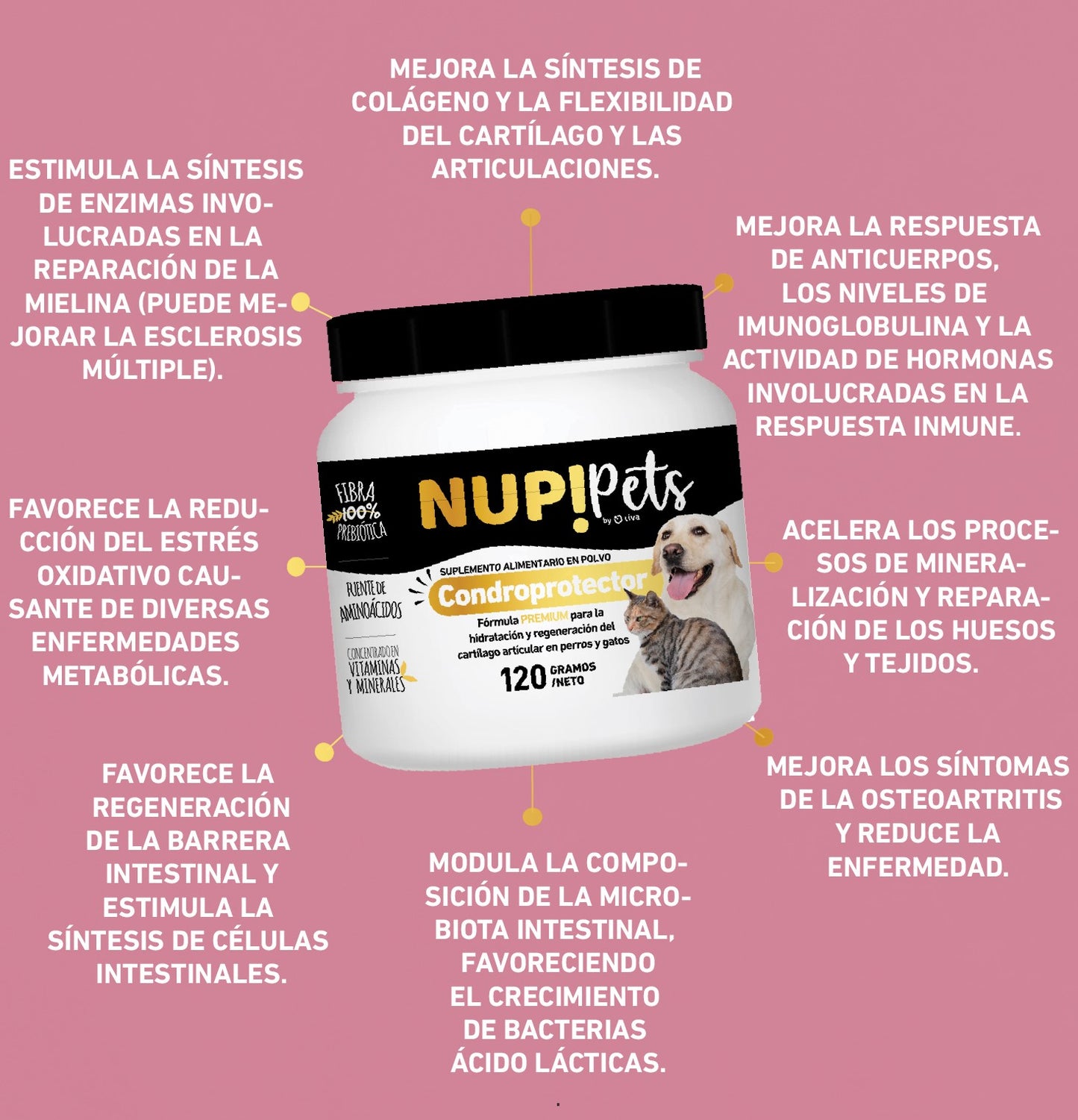 NUP!PETS CONDROPROTECTOR