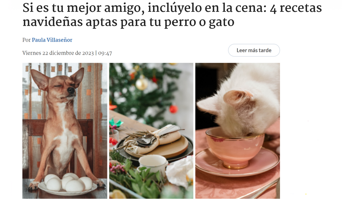 4 recetas navideñas aptas para tu perro o gato