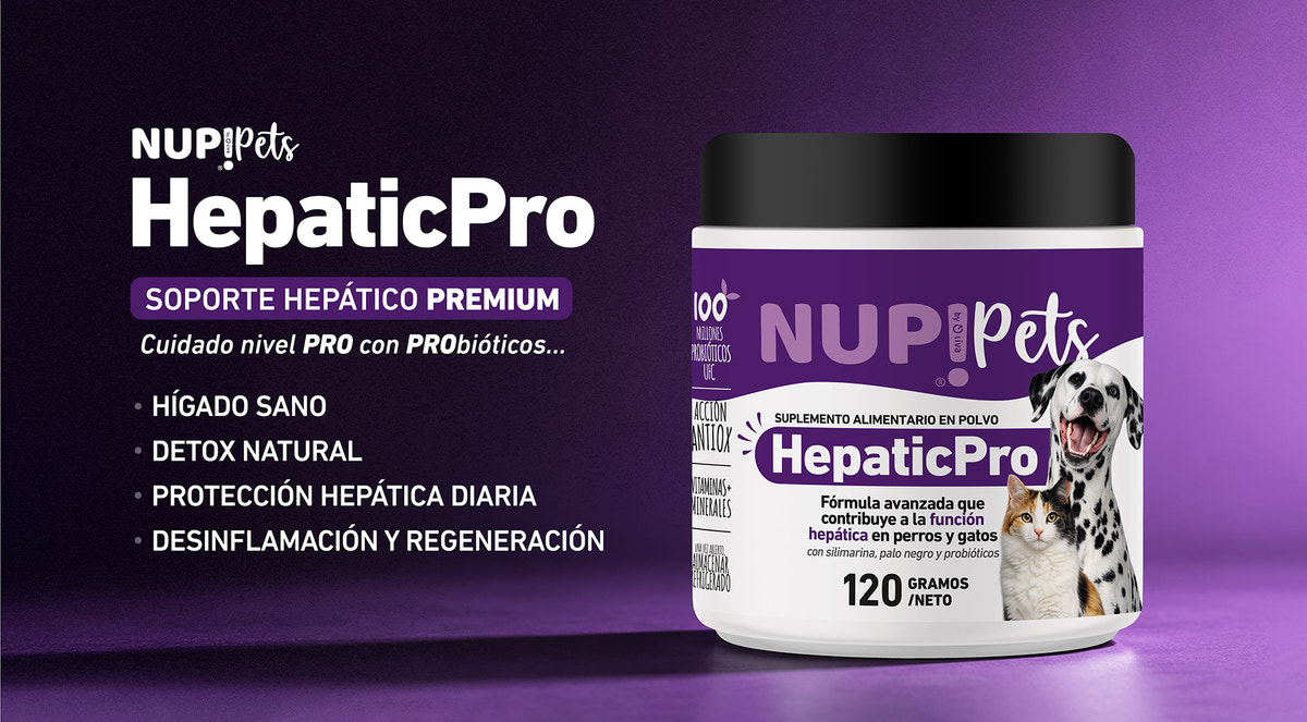 NUEVO PRODUCTO