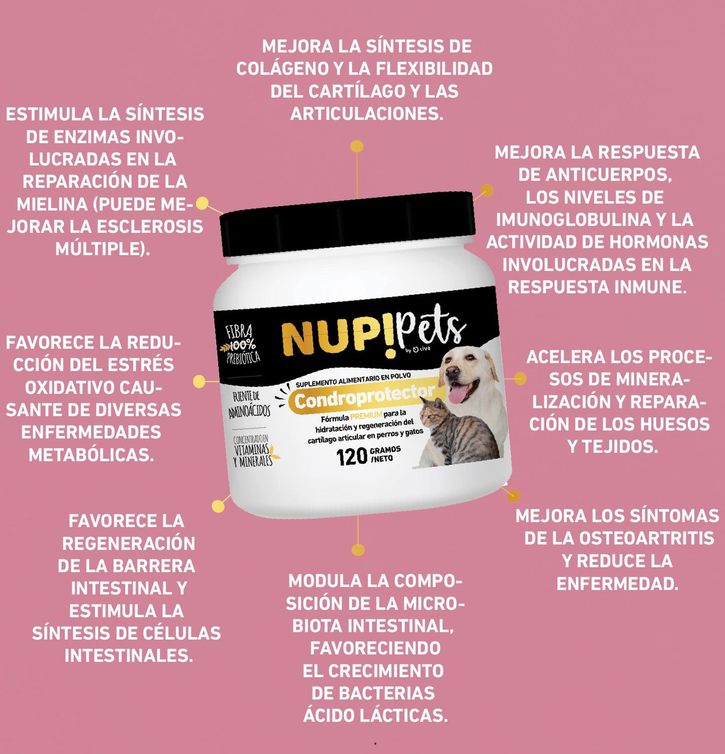 NUP!PETS CONDROPROTECTOR CUIDADO ARTICULAR PERROS Y GATOS